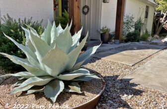 Spotlight around the garden – Digging