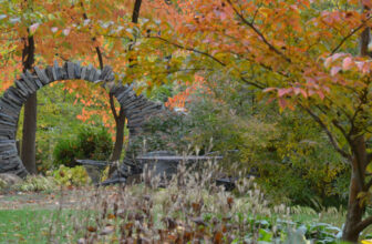 Fall in Carol’s Garden – FineGardening