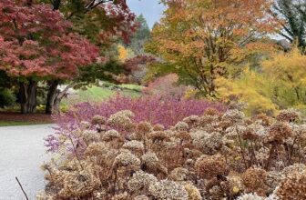 Autumn gardens and biking at Biltmore House