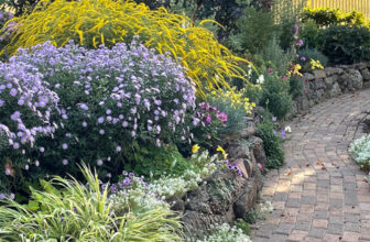 Changes in Michael’s Garden – FineGardening