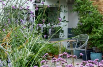 Rented garden ideas – create a beautiful garden in pots! – The Middle-Sized Garden