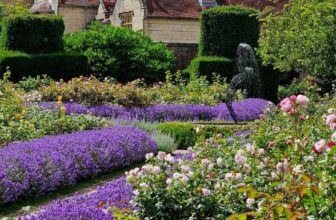 Dying plants in your garden? Top tips on how to save them from the summer weather. – The Middle-Sized Garden