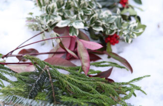 The Best Christmas Greenery for Decorating (+ Which Ones to Avoid)