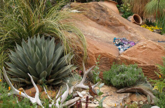 Plants That Can Grow in Both the High Desert and the Low Desert