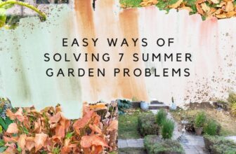 7 summer garden problems and what to do about them – The Middle-Sized Garden