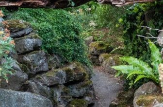 The rock garden is back – and it’s drought tolerant and low maintenance – The Middle-Sized Garden