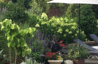 Lisa’s North Carolina Garden – FineGardening