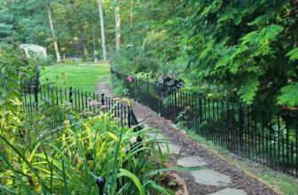 Brenda’s Garden Full of Native Plants