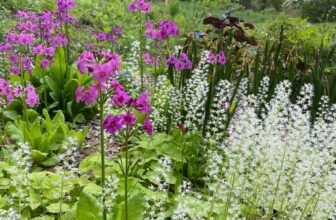 More from Chad and Seyra in Connecticut