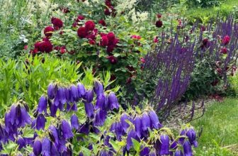 Chad and Seyra’s Garden – FineGardening