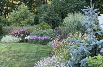 Eric and Christopher’s Garden – FineGardening
