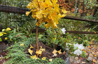 A Photo Journey Through the Seasons of 2022