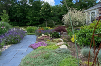 A New Garden in Massachusetts