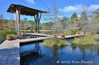 Pond of the Blue Moon and bird- and gator-watching at Shangri La Botanical Gardens