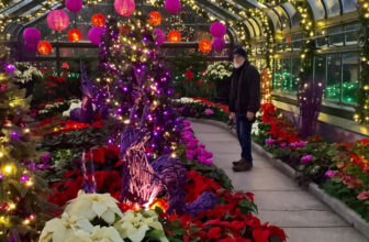 Holiday Displays at Niagara Falls