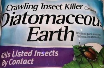 How To Use Diatomaceous Earth In Potted Houseplants