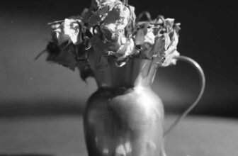 reflecting on a garden year, and life, with marc hamer