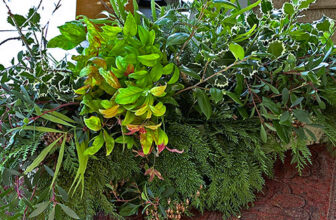 Festive Greenery—Bringing the Outside In
