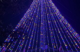 Zilker Tree spin on Christmas Eve