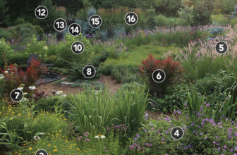 Planting Plan for a Stylized Meadow