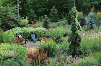 Traditional vs. Stylized Meadow Gardens