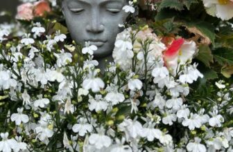 GPOD on the Road: Toronto Garden Tour