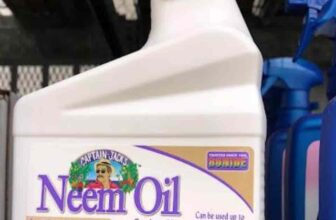 What Plants Not To Use Neem Oil On