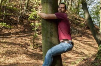 How To Kill A Tree Fast