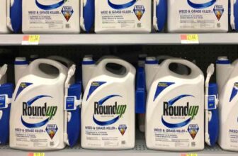 How Long Does Roundup Take To Work