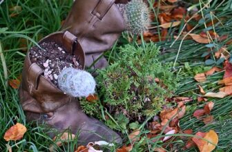 Boots on the ground in Mike Kintgen’s Denver garden