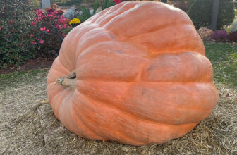 A Very Ooky Spooky GPOD