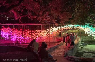 Waterloo Greenway light installations return for Austin’s 10th anniversary Creek Show
