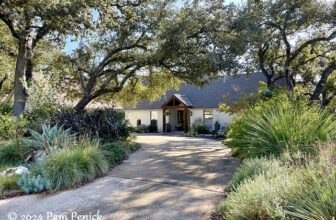 Thankful for fall flowers, cool temps, not deer