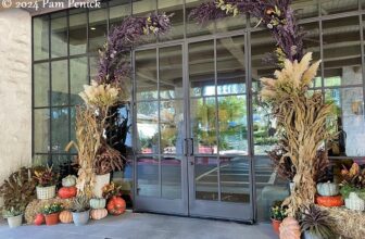 Beyond the fairway, and finding Harvey Penick, at Austin Country Club