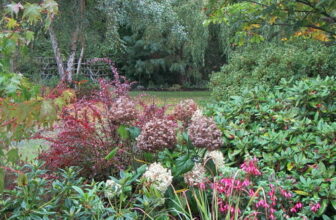 A Few Favorite Fall Gardens from GPOD