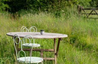 Discover the magic of a rewilded garden – The Middle-Sized Garden