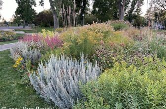 Gardens at Denver’s Washington Park are going native