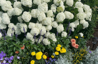 GPOD on the Road: Bar Harbor in July