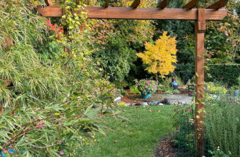 Lila’s Autumn Garden in Washington: Part 2