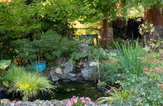 Melina’s 2024 Growing Season – Fine Gardening