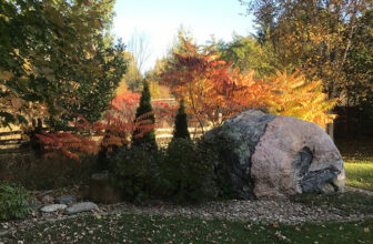 Bill and Dawn’s Farm Gardens in Ontario
