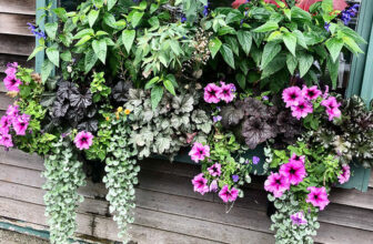 GPOD on the Road: More Bar Harbor