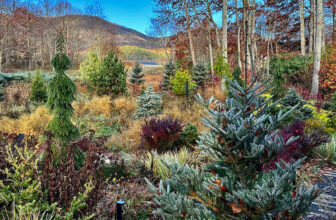 Kaleidoscopic Magic In Jay’s Autumn Garden