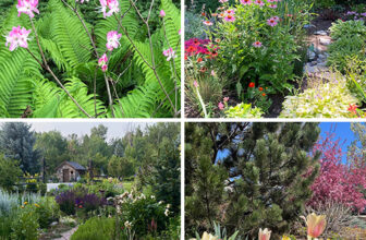 Giving Thanks to the GPOD Community