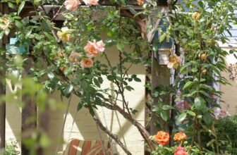 Tour Vancouver’s Must-See Magazine Garden