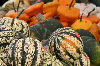 What the Heck is That?! Your Guide to Delicious Winter Squash
