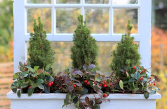 A Wonderful Winter Window Box Planter (That You Can Make Even If You Don’t Have a Window Box!)