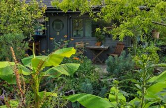Eco-friendly garden design – what you need to know before you spend money – The Middle-Sized Garden