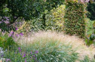 7 brilliant ornamental grasses to give your border light and movement – The Middle-Sized Garden