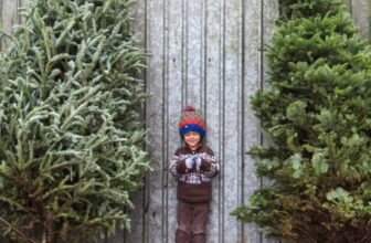 Real Vs Fake Christmas Tree: Which Is Better? –